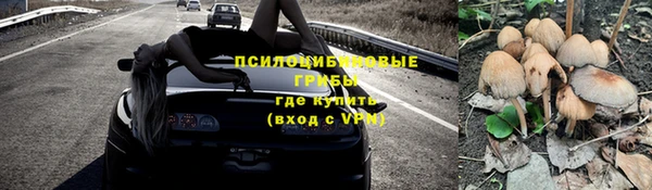 прущие крисы Верхний Тагил